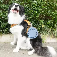 350/600ml dobrável cão animal de estimação tigela de silicone dobrável viagem ao ar livre portátil filhote de cachorro recipiente comida alimentador prato tigela suprimentos para animais de estimação