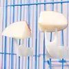 1 pçs pássaro papagaio garfo de frutas suprimentos para animais de estimação plástico rack de alimentos gaiola alimentação suprimentos para animais de estimação frutas lanche garfo gaiola de pássaros acessórios