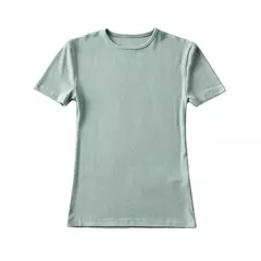 Camiseta feminina com ajuste magro, manga curta apertada, camiseta com gola O, tops básicos de corte sólido, casual, verão na internet