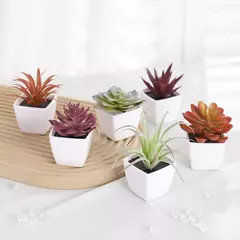 Mini suculenta artificial planta verde plástico Wwhite bacia, Home Window Sill, Restaurante Desktop Bookshelf Decoração, 6pcs por conjunto na internet
