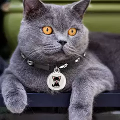 Pet Compatível com Bluetooth Inteligente Wearable Anti-Lost GPS Tracker, localizador à prova d'água, Rastreamento em tempo real, cão, Cat Collar, encontrar dispositivo