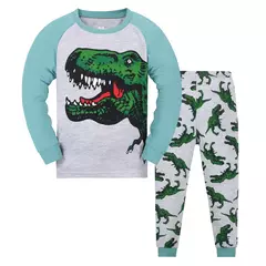 Pijama dinossauro definido para meninos, Pjs longos, Little Kids Sleepwear na internet