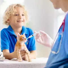 Seringa de medição para alimentação animal, Glue Filling Plastic Seringa, Nutriente estéril sem rega por agulha, 100ml - comprar online