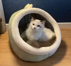 Imagem do Tenda para animais de estimação, cama de caverna para gatos, cães pequenos, auto-aquecimento, cama para gatos, cabana confortável, cama de dormir para animais de estimação, dobrável, removível e lavável