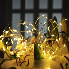 USB Bateria Operado LED String Light, Fio De Cobre, Guirlanda, Fada Iluminação Cordas, Natal, Festa De Casamento, Decoração Lâmpadas, 100-2m - loja online