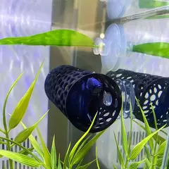 Imagem do 1 pc betta túnel de peixes brinquedo oco tubo de dormir com ventosa betta rede escondido tubo de descanso para decorações de tanque de peixes