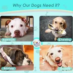 Mordida resistente sólido cão bola brinquedos para cães pequenos grandes alta elasticidade E-TPU pet mastigar bola brinquedo não rangido brinquedo interativo filhote de cachorro - Wolf Magazine