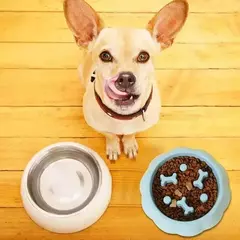 Suprimentos para animais de estimação cor alimentador lento tigela de gato anti-asfixia plástico cão quebra-cabeça tigela de comida, bacia de água do cão para alívio da ansiedade