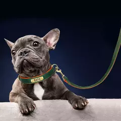 Coleira e coleira de couro pu para cães, conjunto macio e durável de couro liso, 5 pés de chumbo ajustável para cães pequenos e médios - comprar online