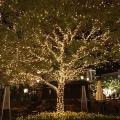 200m 2000leds fio de cobre luzes da corda de fadas wateproof plug in adaptador para festa de natal ao ar livre decoração de casamento de férias - loja online