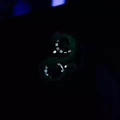 OBLVLO-Mecânica Dragon Dial relógio automático para homens, couro, roda dupla, luminosa, impermeável, esporte, novo design, JM-DRAGON - comprar online