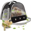 Transportador de cobaia portátil, gaiola transparente para transporte de hamster, bolsa de viagem para répteis, coelho pequeno para animais de estimação, dragão barbudo ao ar livre