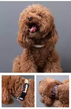 Bohemia Estilo Dog Collar e Leash Set para Small Medium Large Dogs Ajustável Puppy Cat Walking Coleiras Pet Supplies Acessórios - Wolf Magazine