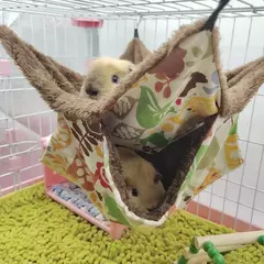 Rede de hamster de pelúcia quente pequeno animal dupla camada engrossar saco de dormir ninho animais de estimação rato esquilo pendurado gaiola casa kta? na internet