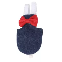 Pássaro papagaio fralda voo terno, fralda roupas para bochecha verde, periquito Conure, calopsitas, pombos, médio e grande, pássaro pet - loja online