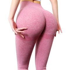 Leggings esportivos sem costura para mulheres, calças justas de cintura alta, roupas de treino, roupas de ginástica fitness, novas calças scrunch, 2024 - comprar online