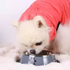 1pc de aço inoxidável tigela para animais de estimação tigela de comida para cães multi-especificação anti-queda tigela de comida tigela de alimentação para animais de estimação suprimentos - loja online