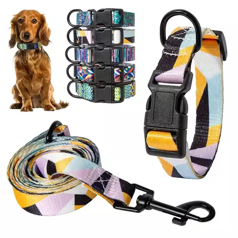 Bohemia Estilo Dog Collar e Leash Set para Small Medium Large Dogs Ajustável Puppy Cat Walking Coleiras Pet Supplies Acessórios