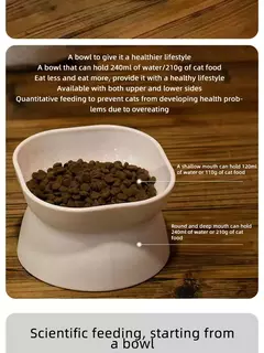Tigela de comida de gato/cachorro de dupla finalidade, alimentador de gato anti-vômito elevado, bigode, tigelas de alimentação de plástico para cães sem estresse - Wolf Magazine