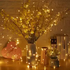 USB Bateria Operado LED String Light, Fio De Cobre, Guirlanda, Fada Iluminação Cordas, Natal, Festa De Casamento, Decoração Lâmpadas, 100-2m - comprar online