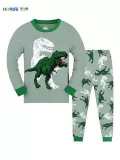 T-Rex infantil com padrão de dinossauro pijama, top e calça de manga comprida, pijama casual confortável, loungewear para menino na internet