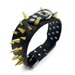 Conjunto de coleira e coleira para cachorro com pontas, coleira de couro com rebite ajustável para caminhada ao ar livre - Wolf Magazine