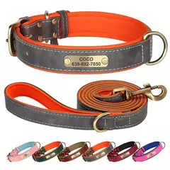 Coleira de identificação de cachorro personalizada com coleira macia acolchoada de couro PU conjunto de coleira e coleira anti-perda para cães pequenos, médios e grandes - Wolf Magazine
