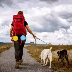 Tigelas dobráveis para cães, tigelas portáteis para viagem, expansíveis para cães e gatos, tigela de água, prato de alimentação de alimentos, tigela de silicone para animais de estimação 350/1000ml - Wolf Magazine