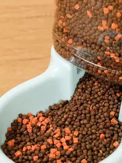 Alimentador automático para animais de estimação, tigela para beber gatos, grande capacidade, tigela para cães, combinação de 3,8l, balde de armazenamento de alimentos, suprimentos para animais de estimação