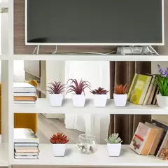 Mini suculenta artificial planta verde plástico Wwhite bacia, Home Window Sill, Restaurante Desktop Bookshelf Decoração, 6pcs por conjunto - comprar online