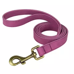Ajustável coleira de couro PU e trela, durável pet coleiras, chumbo corda, colar macio, pequeno, médio, cães grandes, buldogue na internet