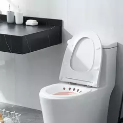 Banho De Sitz Para Hemorróidas, Assento Sanitário, Cuidado Pós-parto, Sit Kit De Banho Para Mulheres, Dobrável, Mangueira De Fusher - loja online