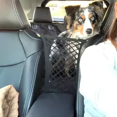 Cercas para assento de cachorro, rede de proteção para animais de estimação, bolsa de armazenamento de segurança, malha para animais de estimação, isolamento de viagem, assento traseiro, barreira de segurança, acessórios para carro de cachorro