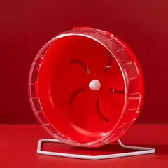 Roda de exercício hamster pet jogging roda esportes correndo bola hamster acessórios brinquedos pequenos animais rato chinchila roda 21.5cm - loja online