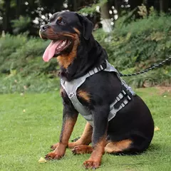 Arnês e coleira para cães médios e grandes, 10-45kg, conjunto de coleira e coleira para animais de estimação, pastor alemão, treinamento, colete de caminhada - comprar online