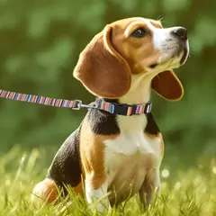 Cute Puppy Dog Collar e conjunto de trela, ajustável cães e gatos colarinho impresso, andando Leash chumbo, colar chihuahua, osso impressão - comprar online