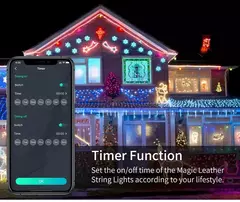 Imagem do Smart Bluetooth LED String Fairy Lights, Dreamcolor RGB Lights, guirlanda para o ano novo, decoração do casamento, USB, 5V, WS2812B
