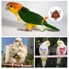 Papagaio pombo fralda terno de vôo pássaro fralda papagaio roupas para bochecha verde periquito cockatiel conure pequenos pássaros médios
