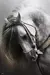 Quebra-cabeça Cavalo Branco Raça Pura 1000 Peças na internet