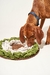 Alfombra de olfato HAPPET - comprar online