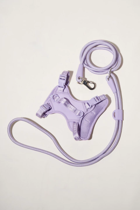 Kit Paseo Perla - comprar online