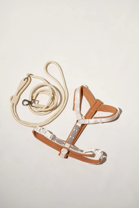 Kit Agnes - comprar online