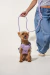 Kit Paseo Perla - tienda online