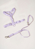 Kit Paseo Liviano - tienda online