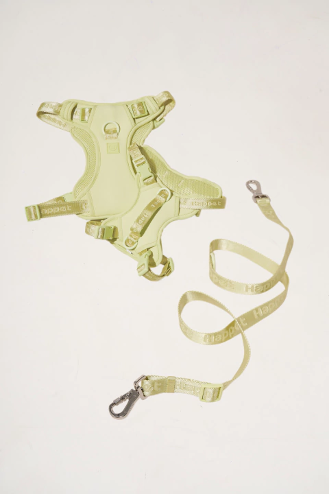 Kit Paseo NALA - comprar online