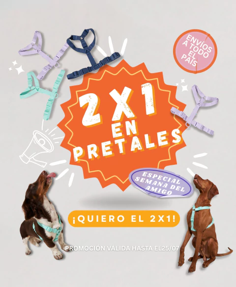 Carrusel 1