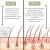 Folizen Micro Infusion System Tratamento para 6 meses - comprar online