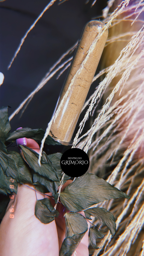 Canela da Índia em Pó – Importada e Premium - comprar online