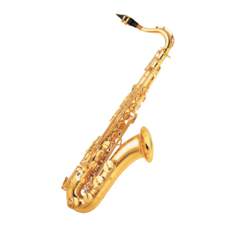 Saxofone Tenor Dreamer em Bb Niquelado FT6435L