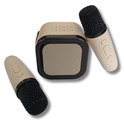 Caixa de Som AJW01 com 2 Microfones